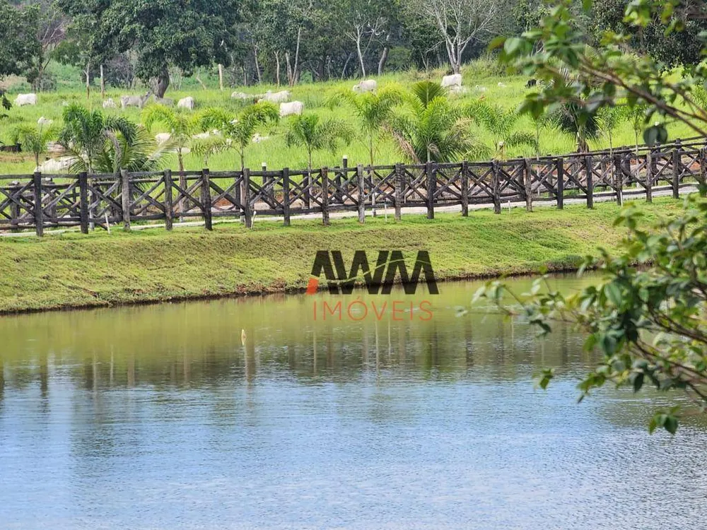 Fazenda, 1191 hectares - Foto 7