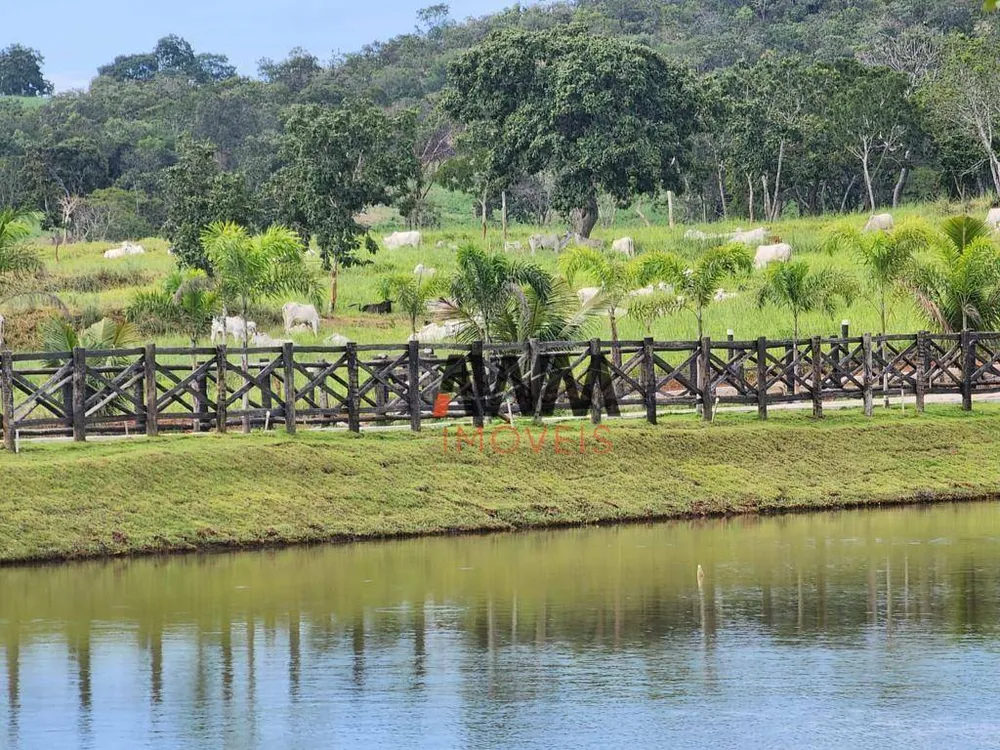 Fazenda, 1191 hectares - Foto 10