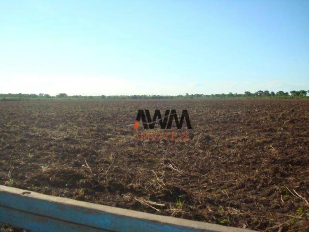 Fazenda, 5571 hectares - Foto 5