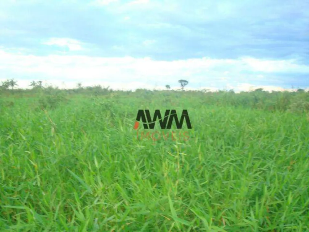 Fazenda, 5571 hectares - Foto 10