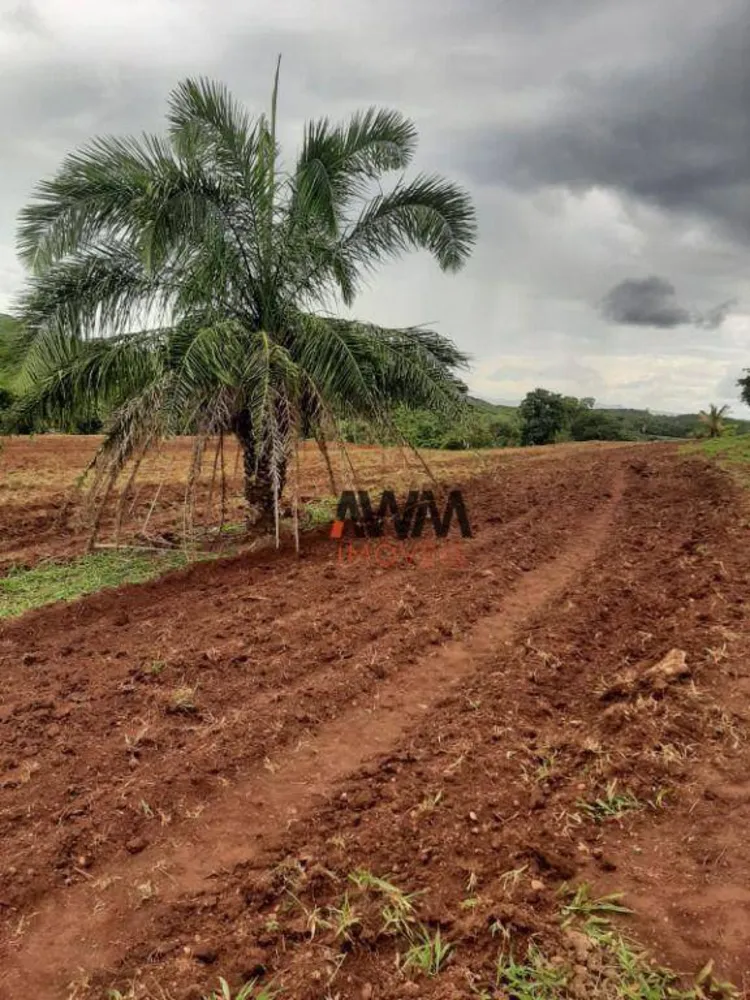 Fazenda, 489 hectares - Foto 8