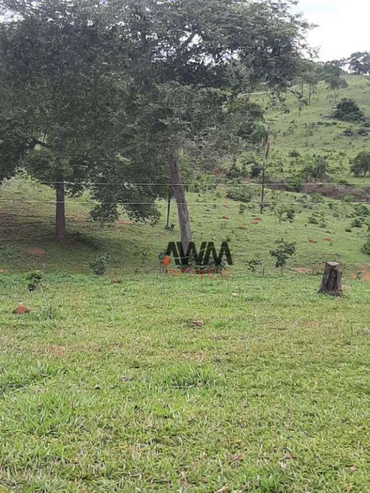 Fazenda, 489 hectares - Foto 5