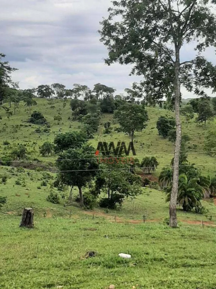 Fazenda, 489 hectares - Foto 9