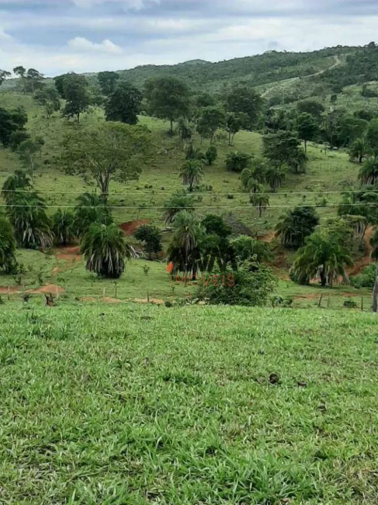 Fazenda, 489 hectares - Foto 2