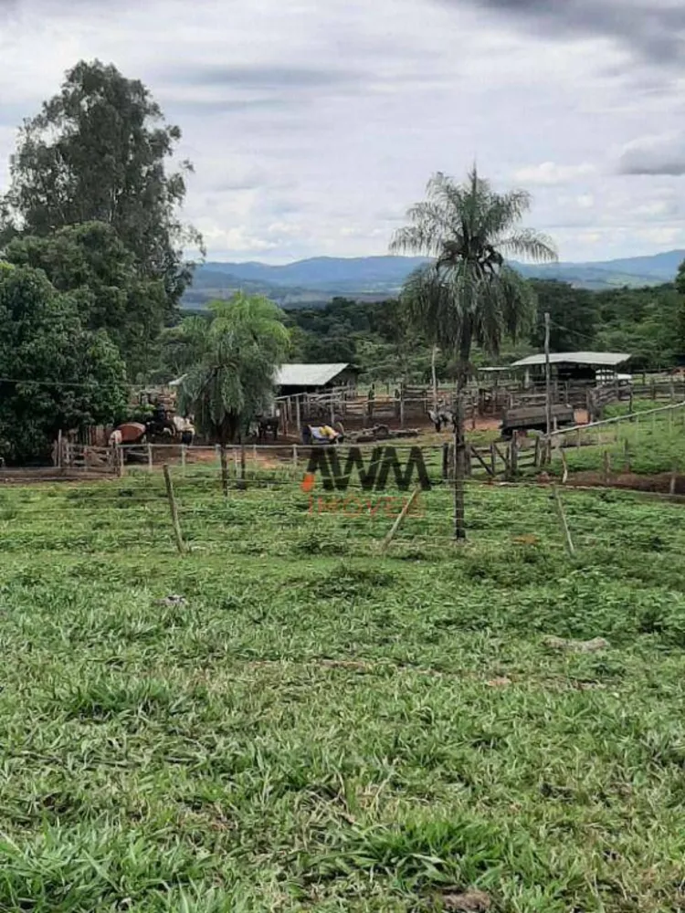 Fazenda, 489 hectares - Foto 4