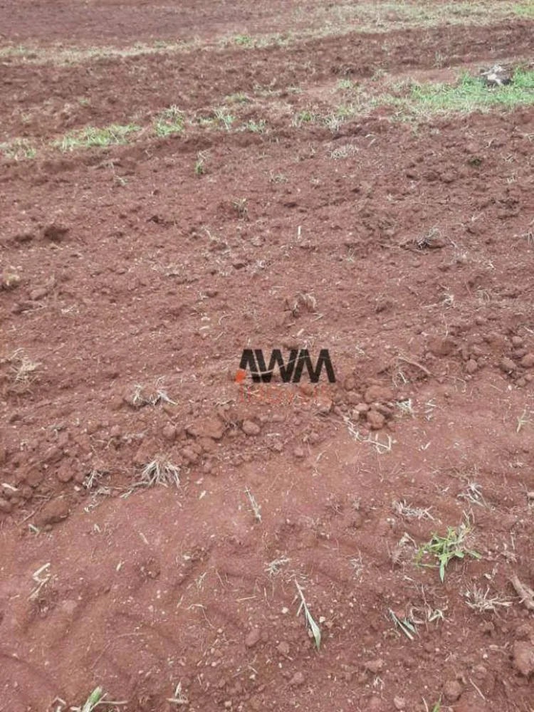 Fazenda, 489 hectares - Foto 3