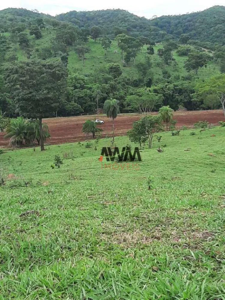 Fazenda, 489 hectares - Foto 7