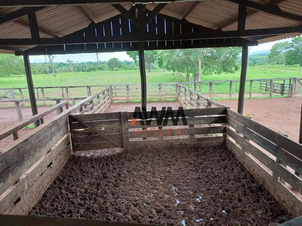 Fazenda, 2575 hectares - Foto 11