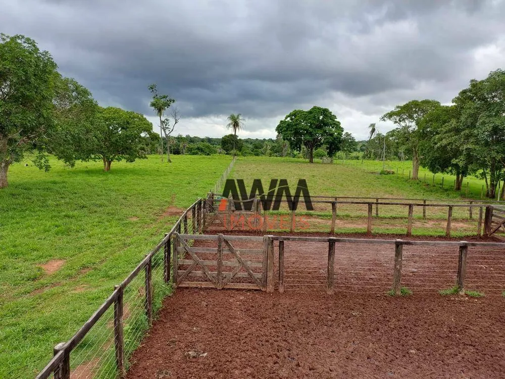 Fazenda, 2575 hectares - Foto 3