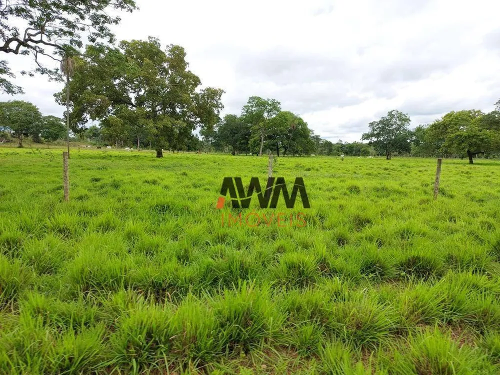 Fazenda, 2575 hectares - Foto 8