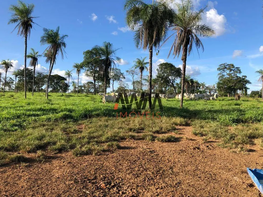 Fazenda, 2575 hectares - Foto 12