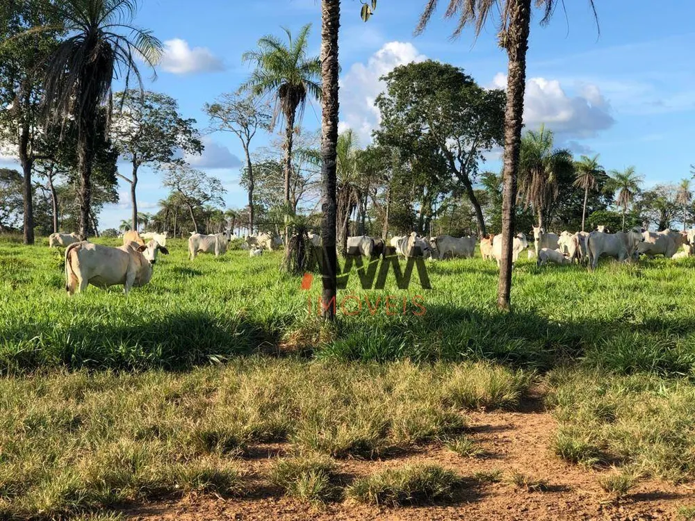 Fazenda, 2575 hectares - Foto 5