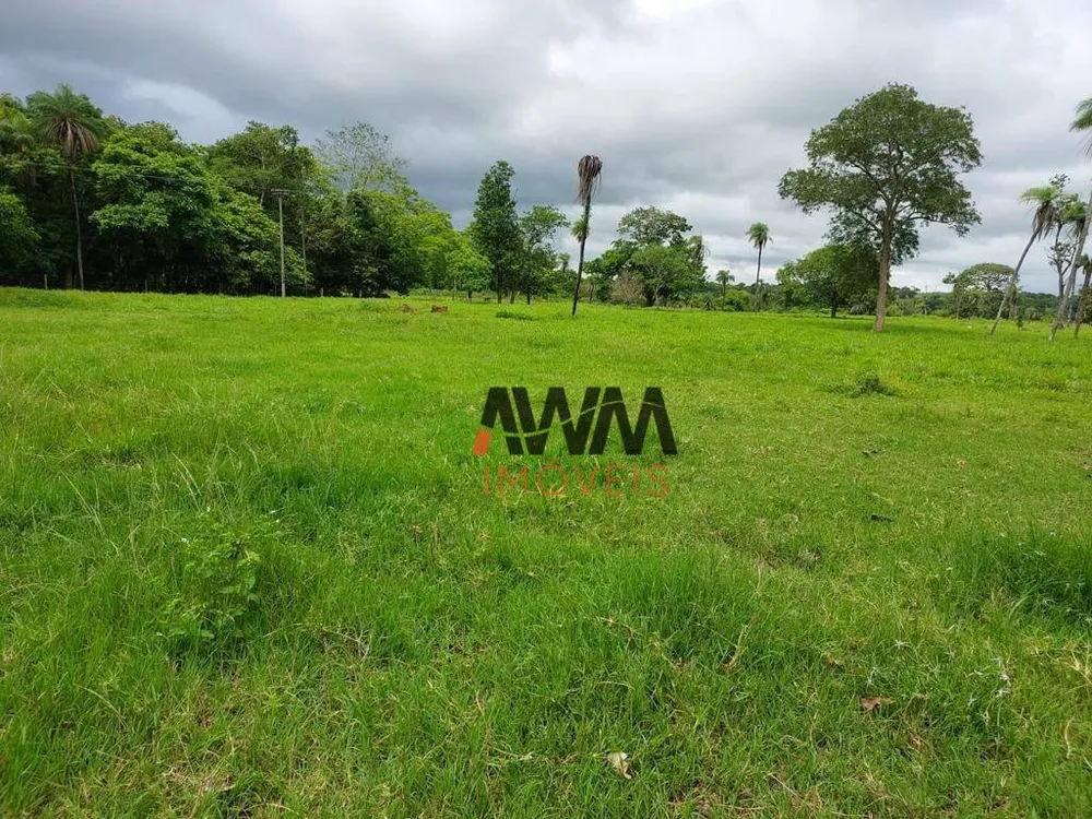 Fazenda, 2575 hectares - Foto 6