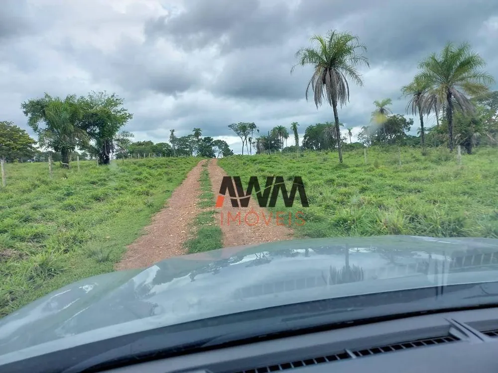 Fazenda, 2575 hectares - Foto 9