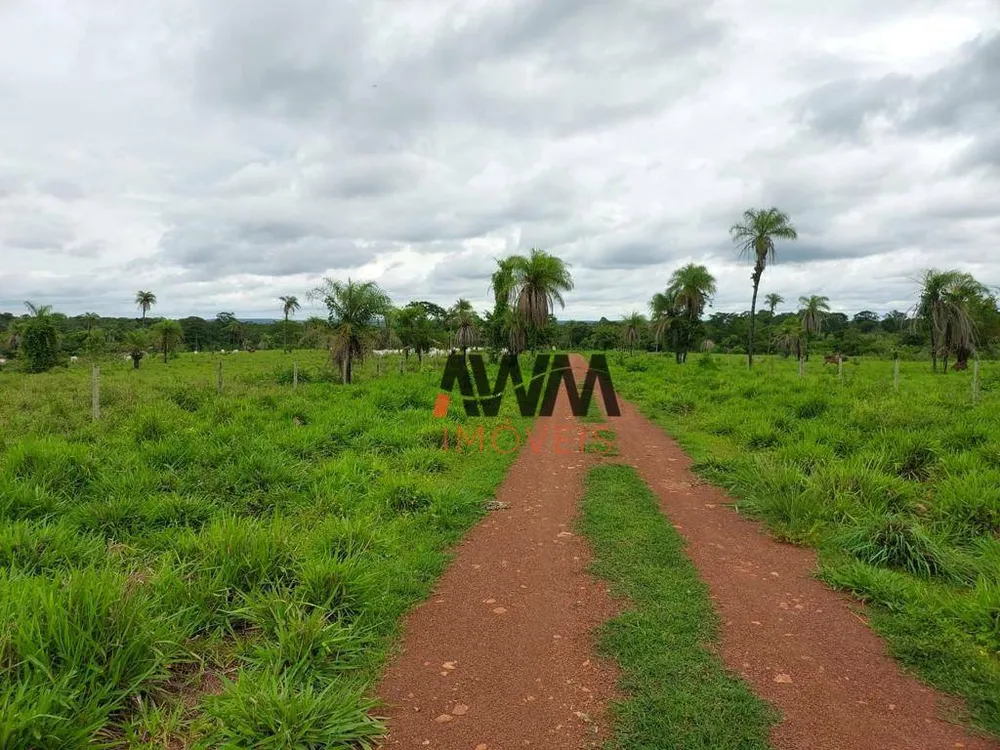 Fazenda, 2575 hectares - Foto 7