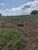 Fazenda, 3833 hectares - Foto 3