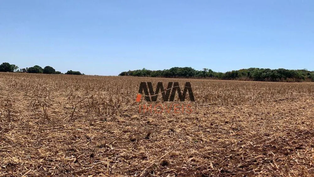 Fazenda, 2005 hectares - Foto 4