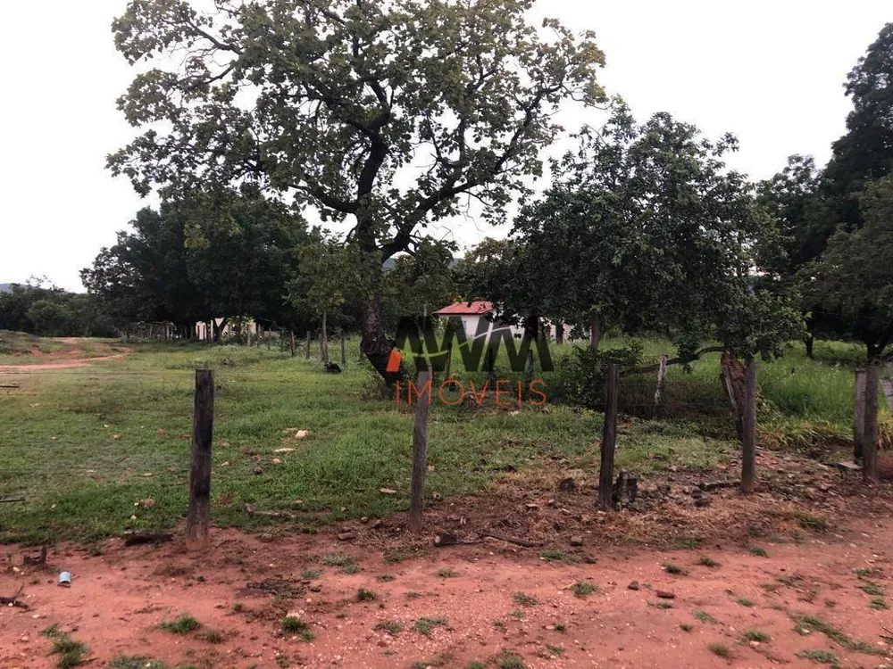 Fazenda, 2725 hectares - Foto 10