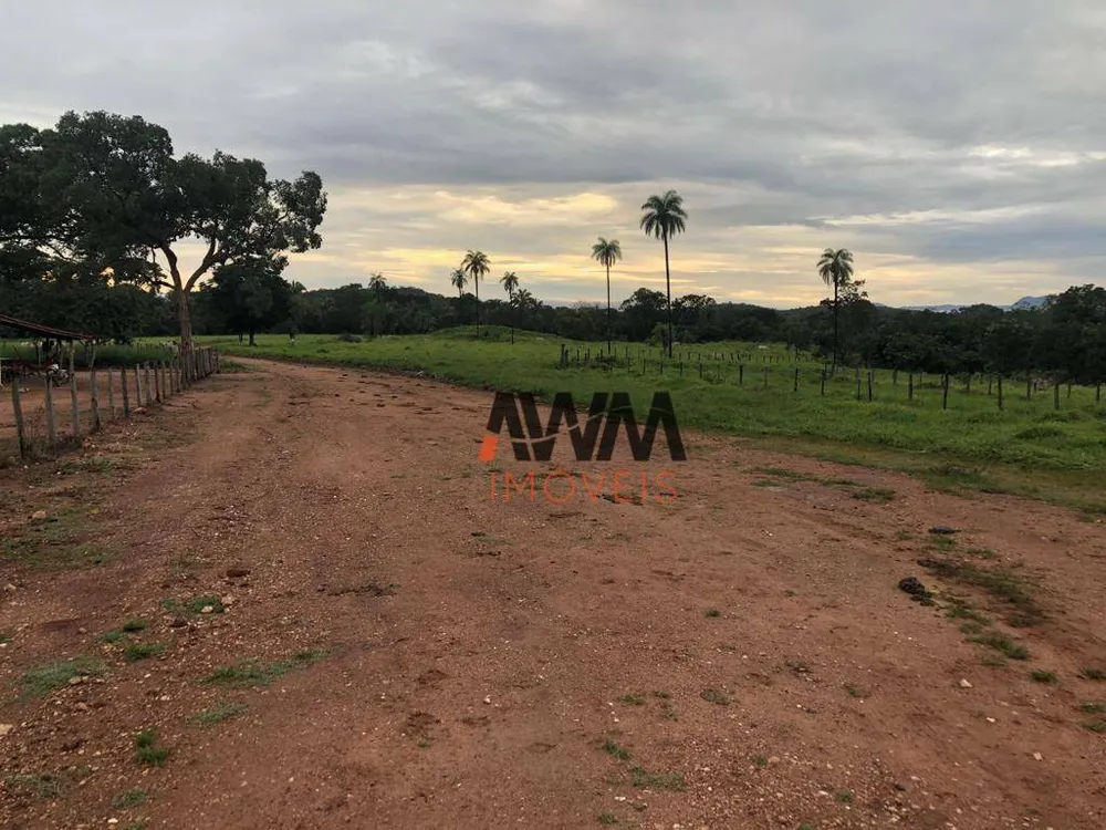 Fazenda, 2725 hectares - Foto 13