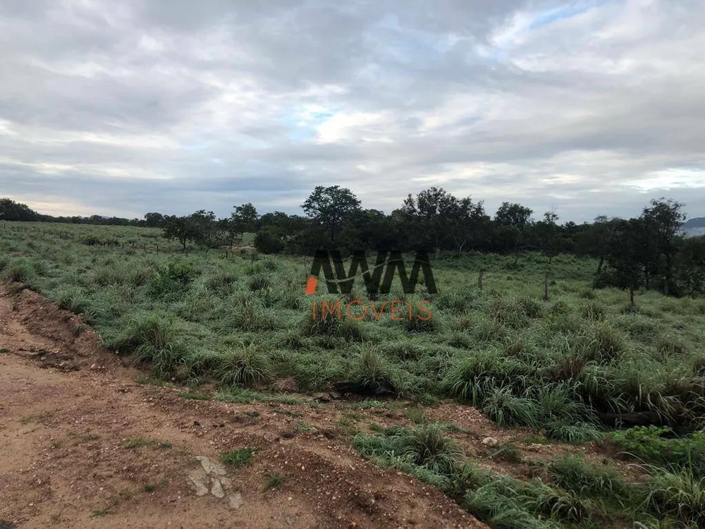 Fazenda, 2725 hectares - Foto 9