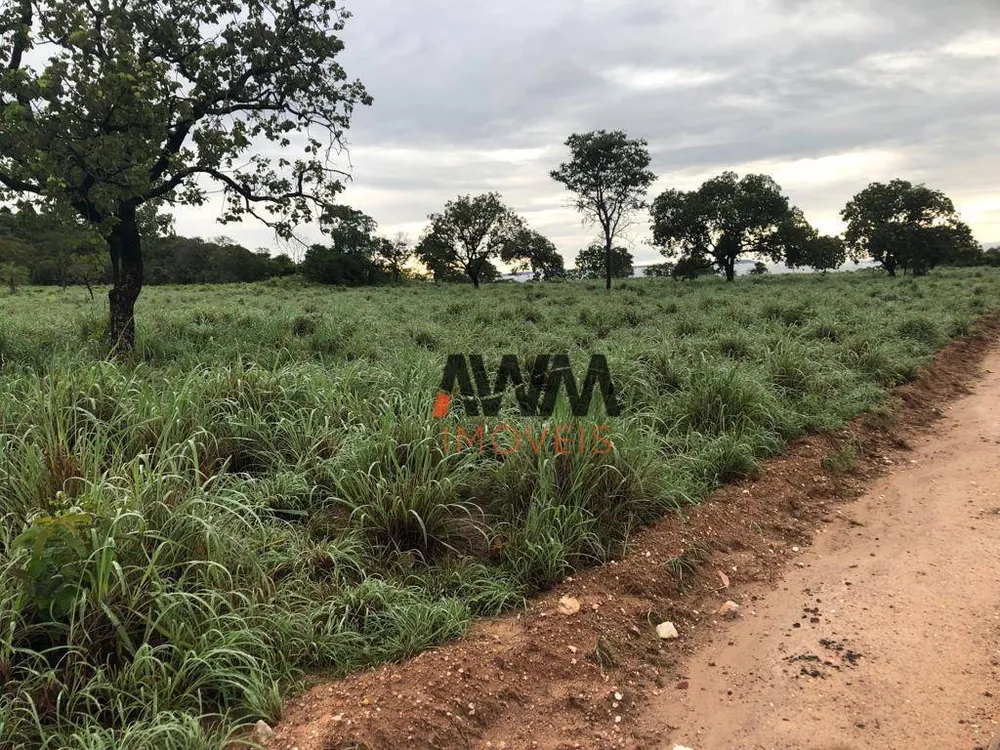 Fazenda, 2725 hectares - Foto 6
