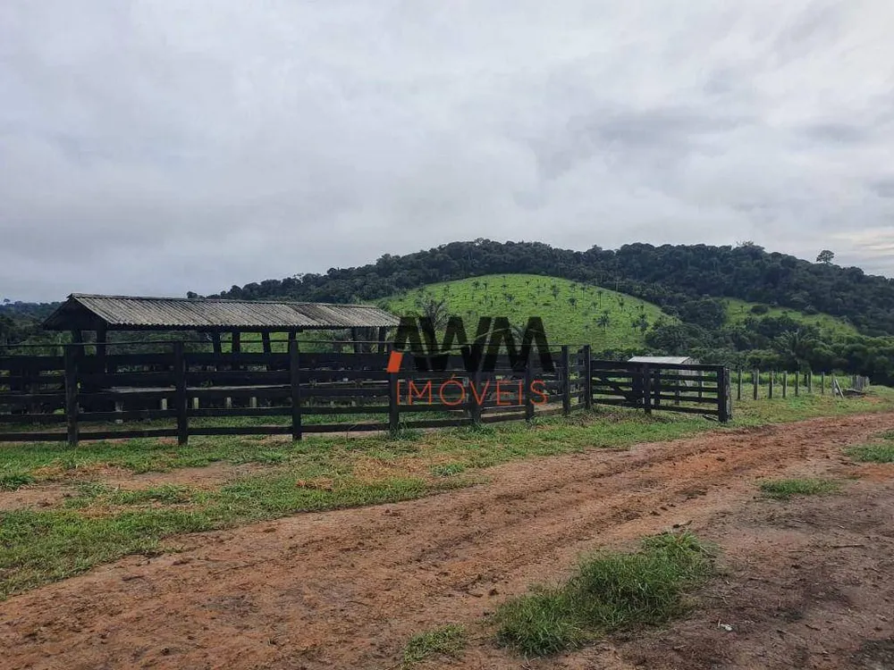 Fazenda, 11483 hectares - Foto 6