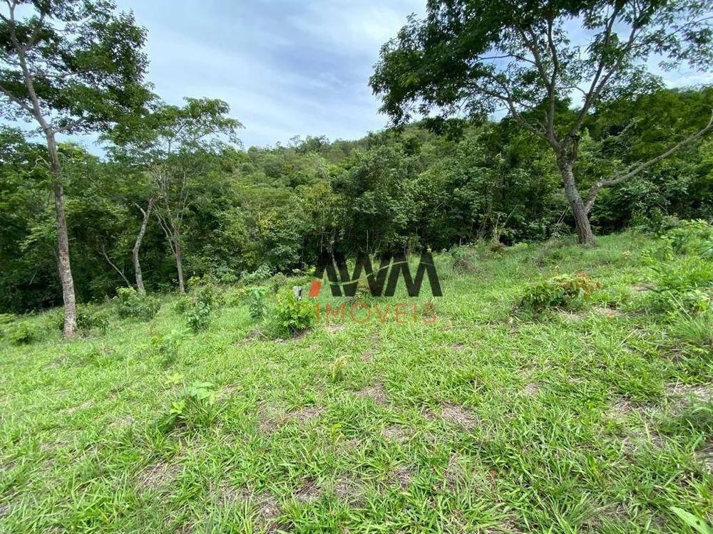 Fazenda, 11483 hectares - Foto 2