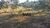 Fazenda-Sítio-Chácara, 116 hectares - Foto 1