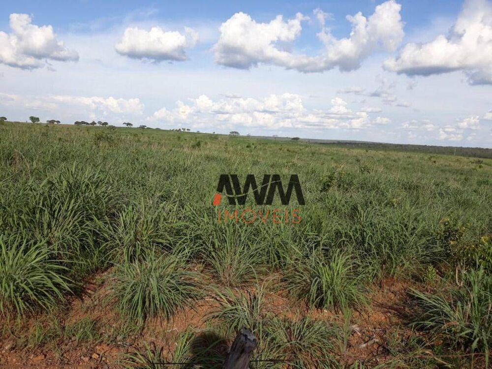 Fazenda à venda, 22022000M2 - Foto 2