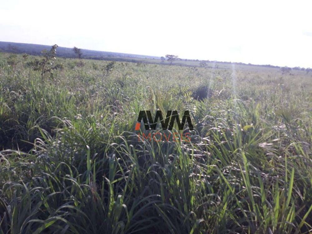 Fazenda à venda, 22022000M2 - Foto 3
