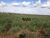 Fazenda, 2202 hectares - Foto 2