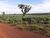 Fazenda, 2202 hectares - Foto 4