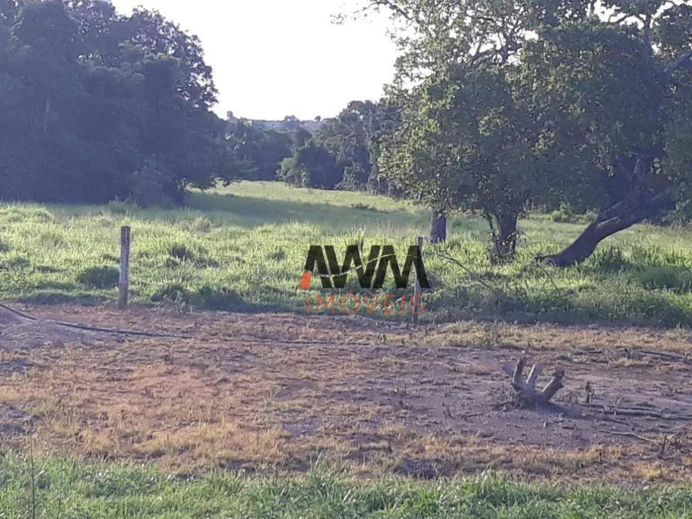 Fazenda, 2202 hectares - Foto 4