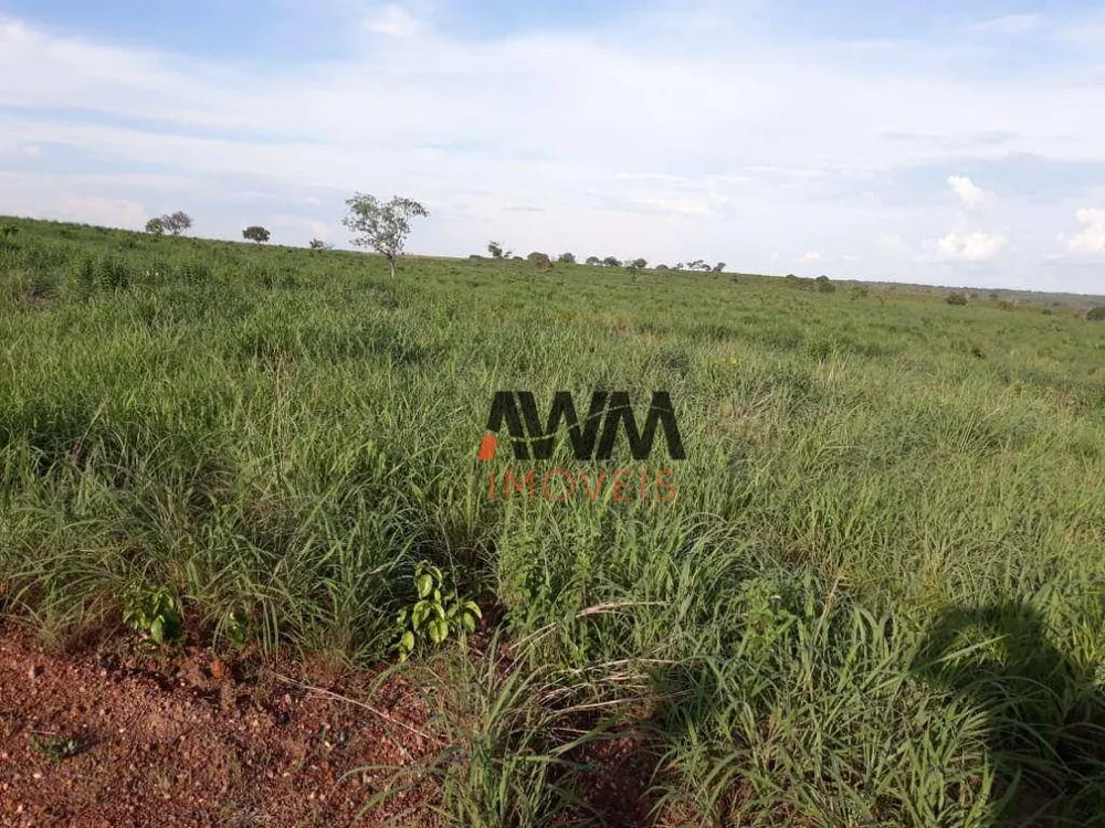 Fazenda, 2202 hectares - Foto 4