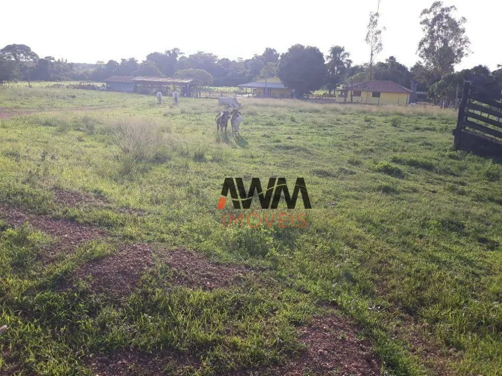 Fazenda, 2202 hectares - Foto 1