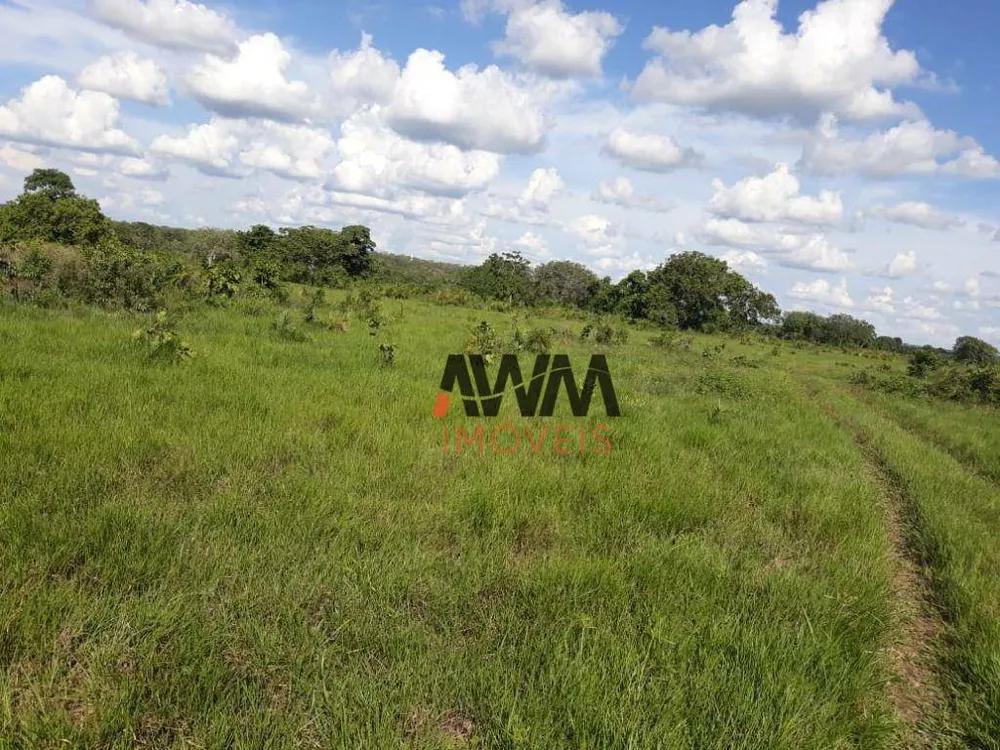 Fazenda, 2202 hectares - Foto 12