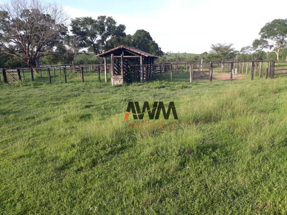 Fazenda, 2202 hectares - Foto 10