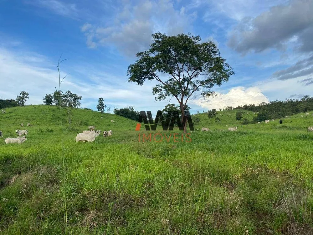 Fazenda, 3000 hectares - Foto 8