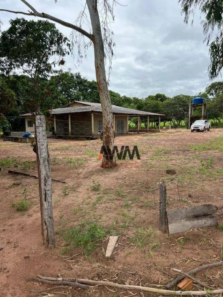 Fazenda, 3150 hectares - Foto 4