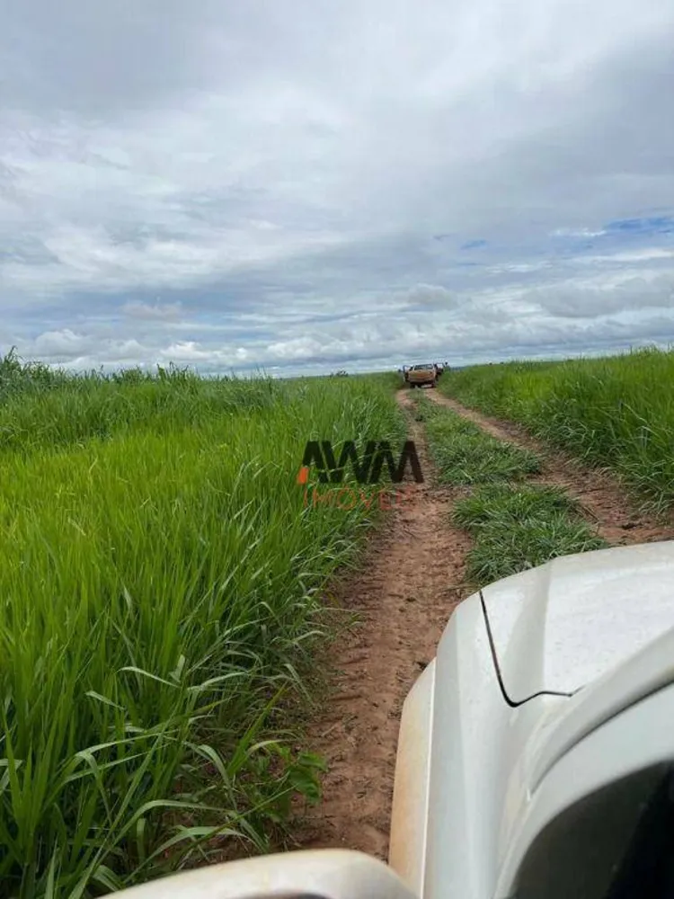 Fazenda, 3150 hectares - Foto 3