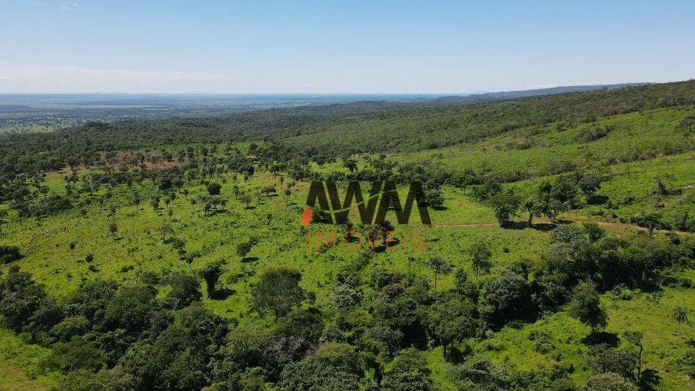 Fazenda, 823 hectares - Foto 7