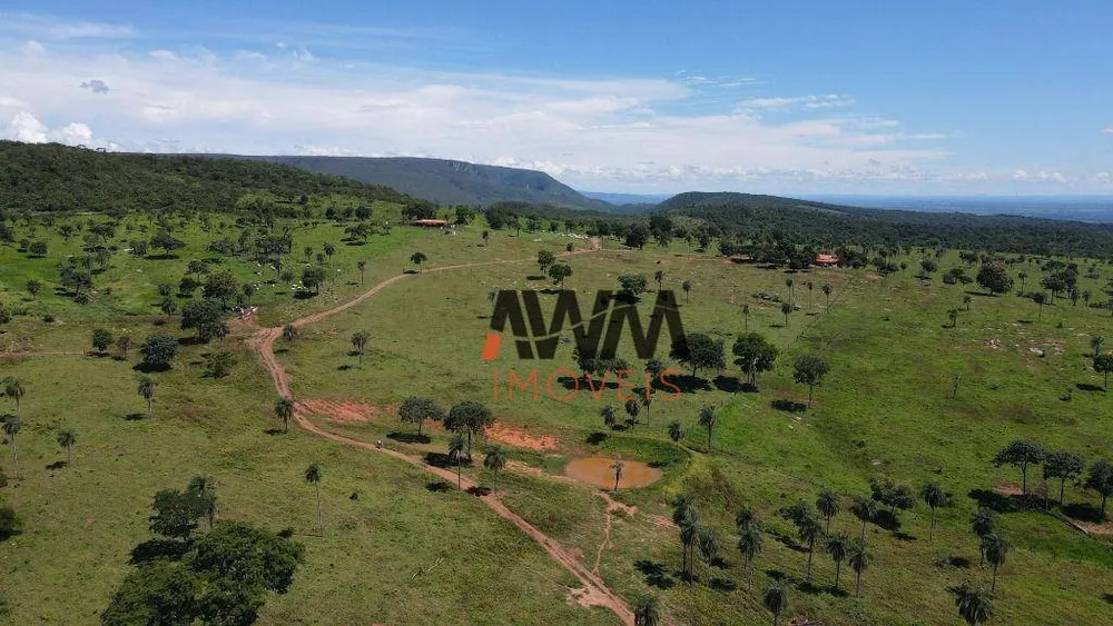 Fazenda, 823 hectares - Foto 3