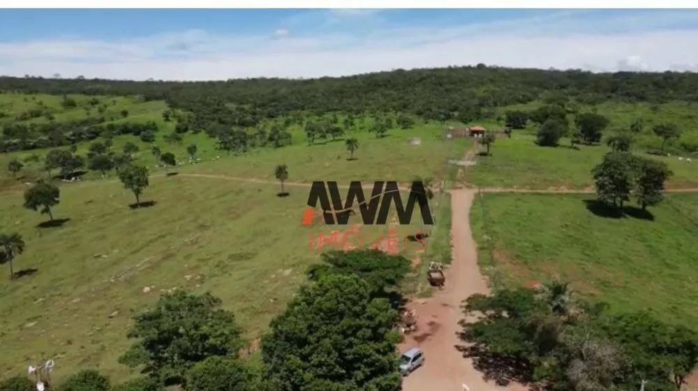 Fazenda, 823 hectares - Foto 6