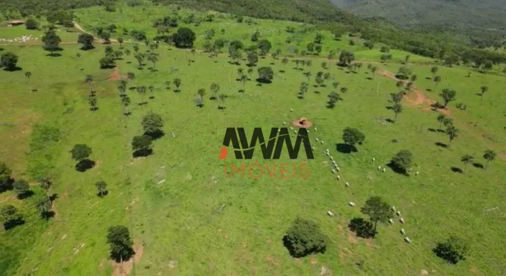 Fazenda, 823 hectares - Foto 12