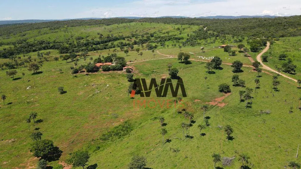 Fazenda, 823 hectares - Foto 9