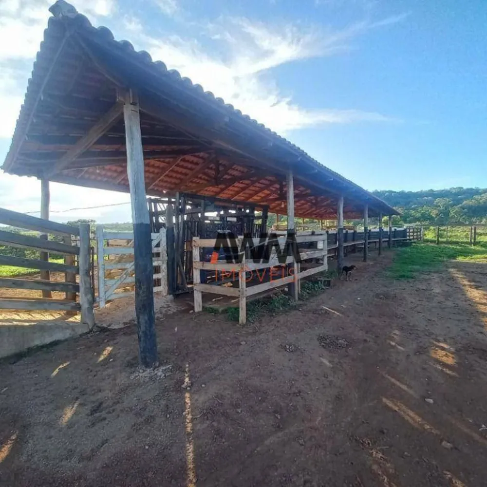 Fazenda, 823 hectares - Foto 8