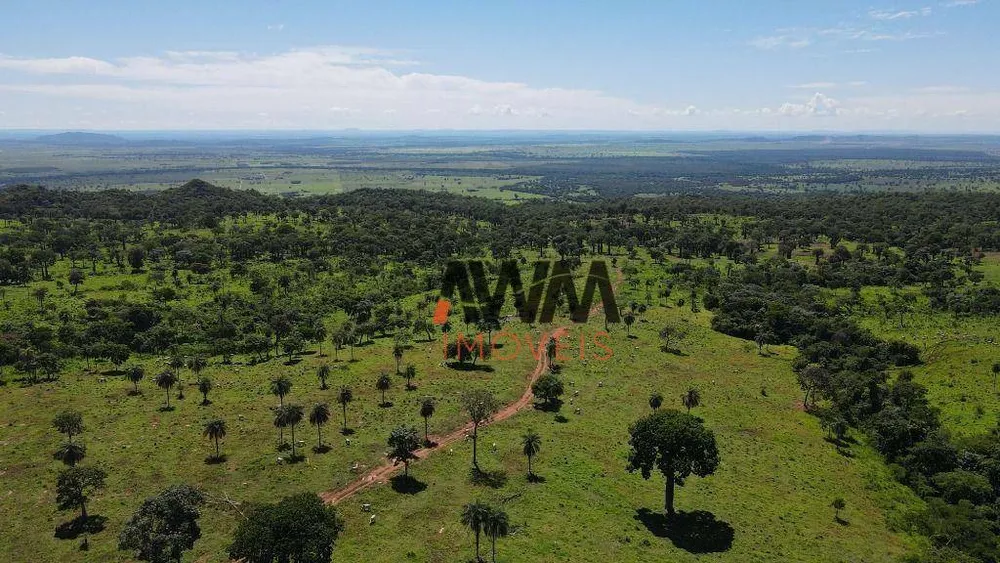 Fazenda, 823 hectares - Foto 10