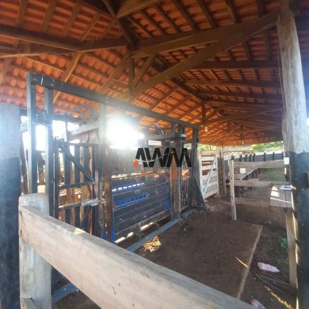 Fazenda, 823 hectares - Foto 4