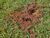Fazenda, 87 hectares - Foto 3