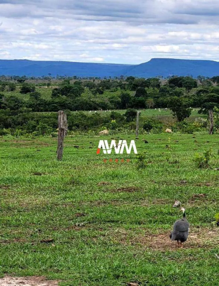 Fazenda, 813 hectares - Foto 9